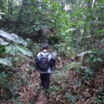 Yogyakarta Countryside Walking Tour - What the Reviews Say
