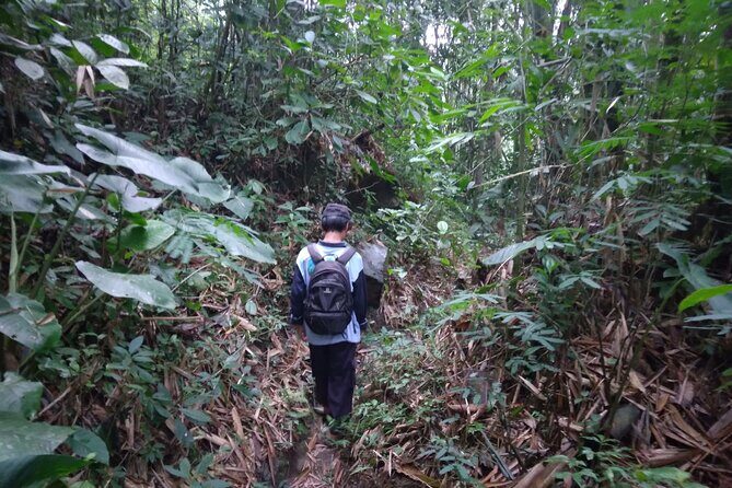 Yogyakarta Countryside Walking Tour - What the Reviews Say