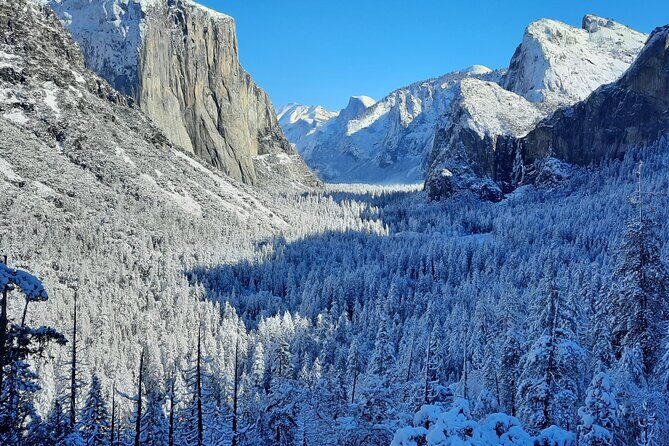 Yosemite National Park Day Tour with Optional Alcatraz - Exploring Yosemite’s Landmarks