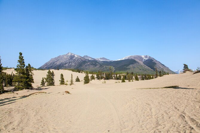 Yukon Escapade: Lakes, Wilderness, and Hidden Gems - Transportation & Experience Details