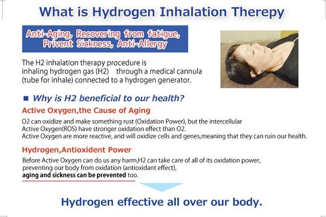 ZEN therapy | Shiatsu-style massage, EnergyTherapy & Japanese Tea - How Does This Experience Compare in Value?