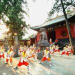 Zhengzhou Private Tour to Shaolin Temple including Kungfu Lesson and Activities - Final Thoughts