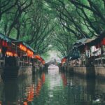 Zhouzhuang and Tongli Water Town Private Transfer Service from Shanghai - Insights from Reviewers