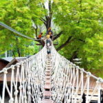 Zipline and ATV Skyline Adventure Phuket Include Pickup Transfer - Who Should Consider This Tour?