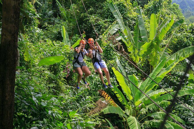 Zipline & Coffee with Waterfall Views in Koh Samui - What’s Included and What to Consider