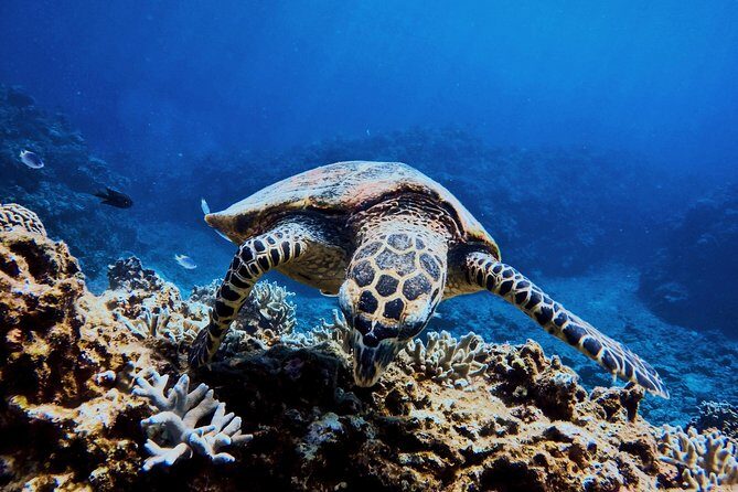 03 Days Sri Lanka Tour - Wild Life Hotspots - Who Will Love This Tour?