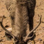 05 Days - Private Luxury Golden Triangle Tour with Ranthambore - Final Thoughts