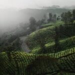 07 Days Sri Lanka Tour - Splendid Ceylon - An In-Depth Look at the Itinerary