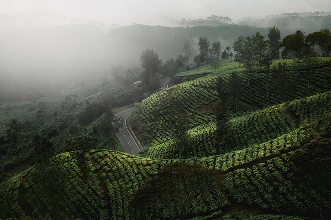 07 Days Sri Lanka Tour - Splendid Ceylon - An In-Depth Look at the Itinerary