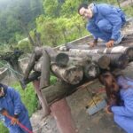 1-Day Dujiangyan Panda Base Volunteer Program Tour from Chengdu - Who Should Consider This Tour?