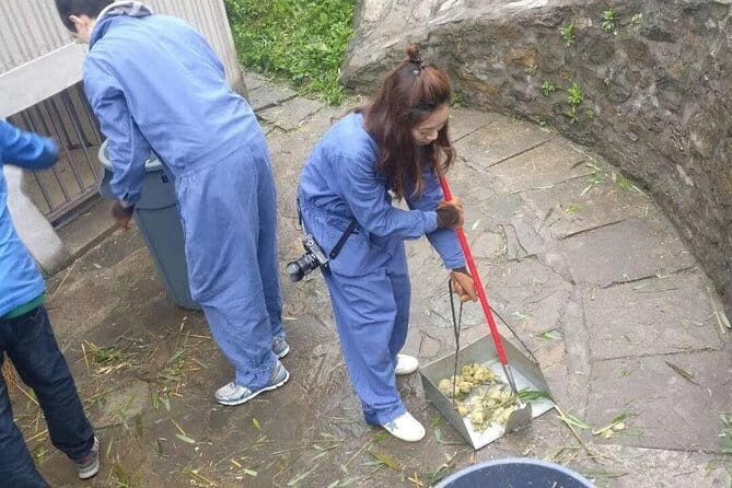 1-Day Dujiangyan Tour: Panda Volunteer Program and Water Irrigation System - Who Will Love This Tour?