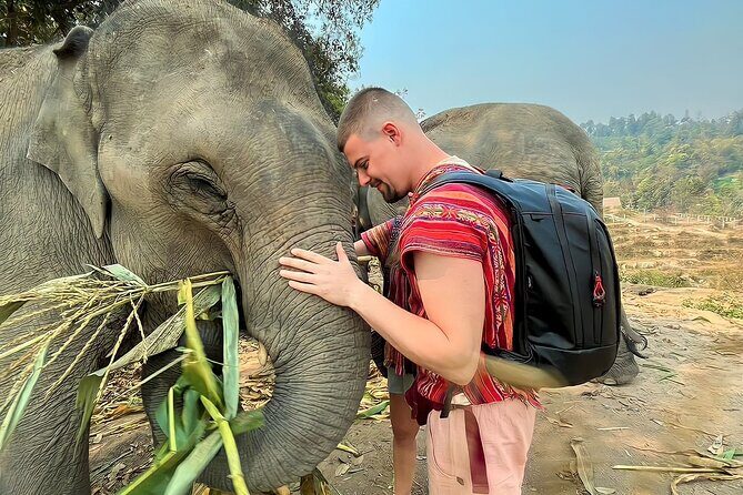 1 Day Eco Elephant Excursion - Final Thoughts