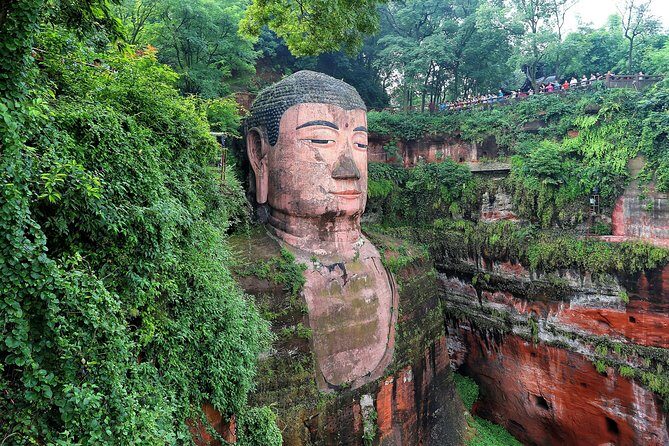 1 day Giant Panda & Leshan Buddha Private Tour - The Value of This Tour
