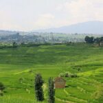 1 day hike to Phulchwoki Hill (Kathmandu Valley) - Who Should Consider This Tour?
