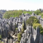 1 day Kunming Highlights Private tour - Who is This Tour Best For?