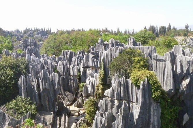 1 day Kunming Highlights Private tour - Who is This Tour Best For?