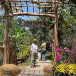1 Day Land Tour Phu Quoc Northern and Kayaking - Final Thoughts: Is This Tour Right for You?
