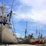 1 Day Makassar Natural Attraction Tour : Bantimurung Maros to Leang Leang - Who Would Love This Tour?