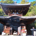 1-Day Miyajima Sightseeing Tour - How the Tour Sits in Context: Value and Practicality
