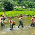 1-Day Motorbike Tour Discover the Untouched Beauty of Ninh Binh - What Sets This Tour Apart?
