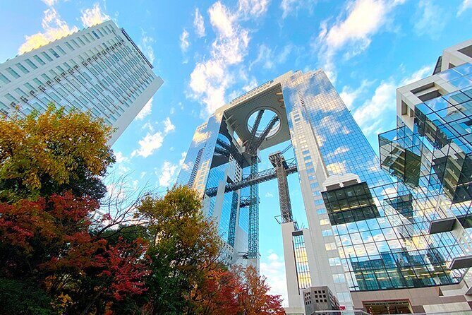1 Day Osaka Private Tour with English Speaking Guide - A Taste of the Heights at Abeno Harukas