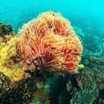 1 Day Phu Quoc Boat Trip with Three Islands - Final Thoughts