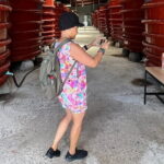 1 Day Phu Quoc Island Private Tour North and South Discover - The Sum Up: Is This Tour Worth It?