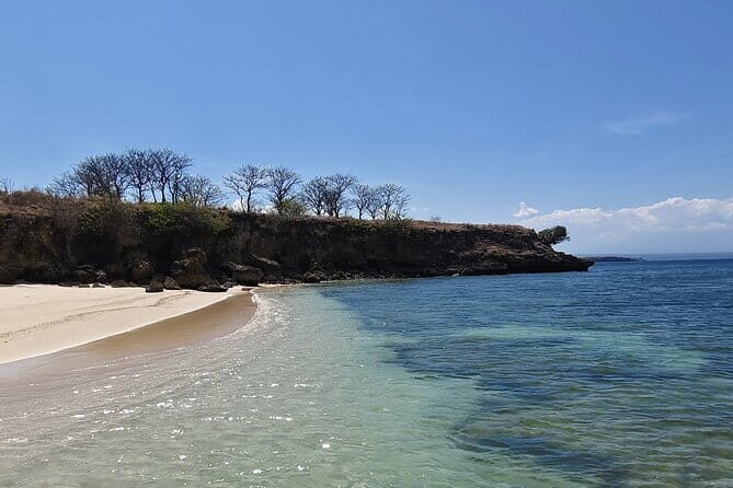 1 Day Pink Beach Tour in East Lombok - Return Journey and Hotel Drop-off