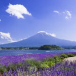 1 Day Private Tour Fuji FujiQ Kawaguchiko Pagoda - Authentic Insights from Reviews