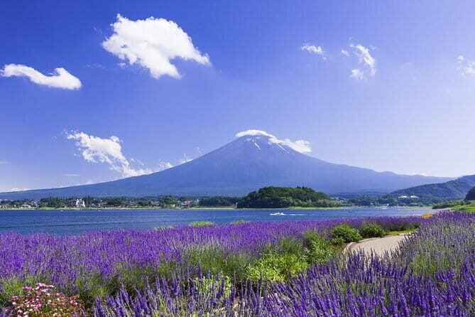 1 Day Private Tour Fuji FujiQ Kawaguchiko Pagoda - Authentic Insights from Reviews
