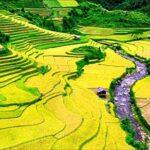 1 day Private tour Sapa Off The Beaten Path trekking start from Sapa - Introduction