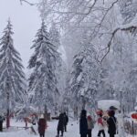 1 Day Private Tour to China Snow Village - A Deep Dive into the Tour Experience