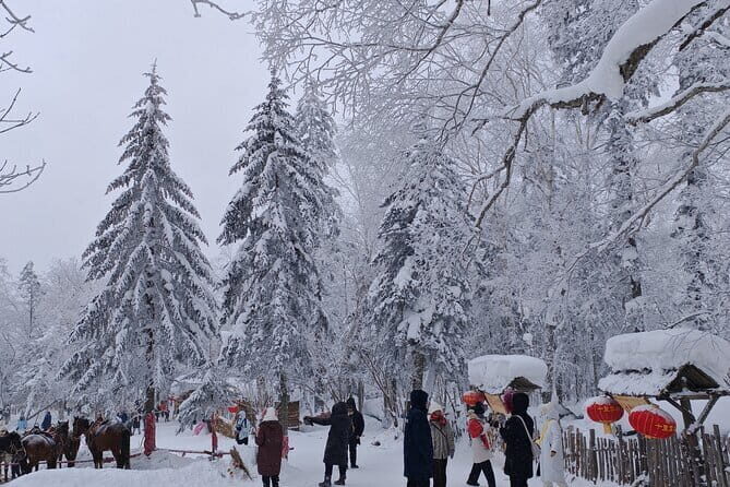 1 Day Private Tour to China Snow Village - A Deep Dive into the Tour Experience