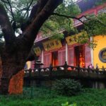 1-Day Private Tour to Hangzhou by car from Shanghai - Final Thoughts
