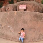 1-Day Self-Guided Leshan Giant Buddha Tour from Chengdu - Return Journey and Final Stop in Chengdu