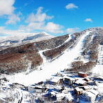 1 Day Ski Tour Package Easy Departure from Nagano Station - What Makes Shiga Kogen Special?