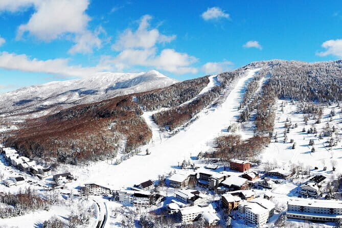 1 Day Ski Tour Package Easy Departure from Nagano Station - What Makes Shiga Kogen Special?