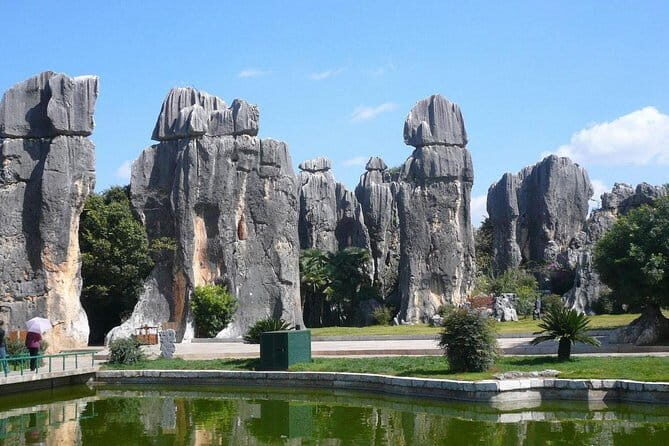 1-Day Stone Forest Geological Park Private Tour with the Lunch from Kunming - What Makes This Tour Stand Out?