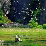 1-day Thung Nham Bird Watching and Hoa Lu ancient town - The Value of This Tour