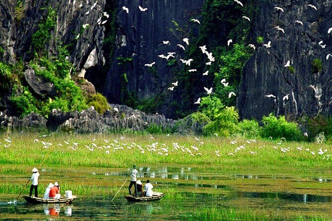 1-day Thung Nham Bird Watching and Hoa Lu ancient town - The Value of This Tour