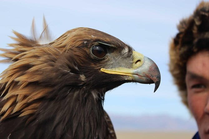 1 Day Tour: Terelj National Park And Chinggis Statue - Who Should Consider This Tour?