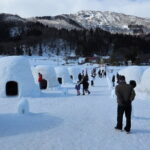 1 Day Tour Traditional Igloo Kamakura Festival and Snow Fun - An In-Depth Look at the Tour Experience