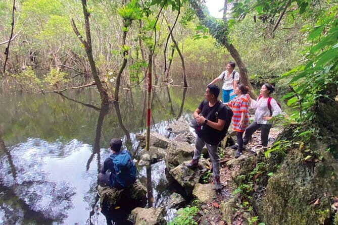 1 Day Trekking & Biking: Explore the Beauty Cat Ba National Park - Practical Details & What You Should Know