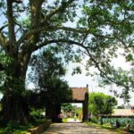 1-day Visiting Tho Ha and Dong Ky Traditional Village from Hanoi - Who Is This Tour Best For?