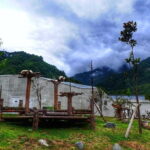 1 Day Wolong Panda Nature Reserve Tour - An In-Depth Look at the Itinerary
