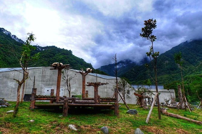 1 Day Wolong Panda Nature Reserve Tour - An In-Depth Look at the Itinerary
