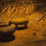 1-Day Xi'an City Highlights and Hanyangling Museum Private Tour - Final Thoughts: Who Will Love This Tour?