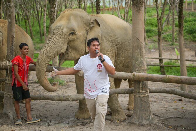 1-Hour Guided Khaolak Elephant Sanctuary Observation Tour - The Value of the Tour