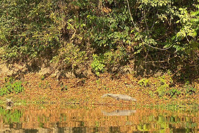1 Night 2 Days Chitwan Jungle Safari Tour from Pokhara or Kathmandu - Whats Included and Whats Not