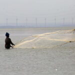1 Night Fishing Village Experience In Kalpitiya From Colombo - Who Would Love This Tour?